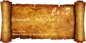 Csurgó Dávid névjegykártya