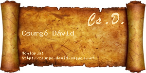 Csurgó Dávid névjegykártya